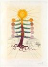 SALVADOR DALÍ Flora Dalinea.